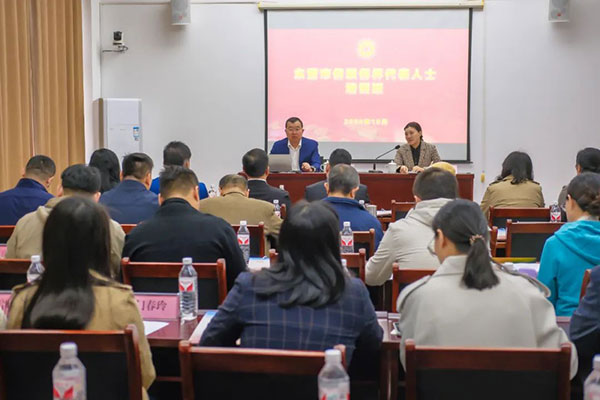 市侨联侨界代表人士培训班举办